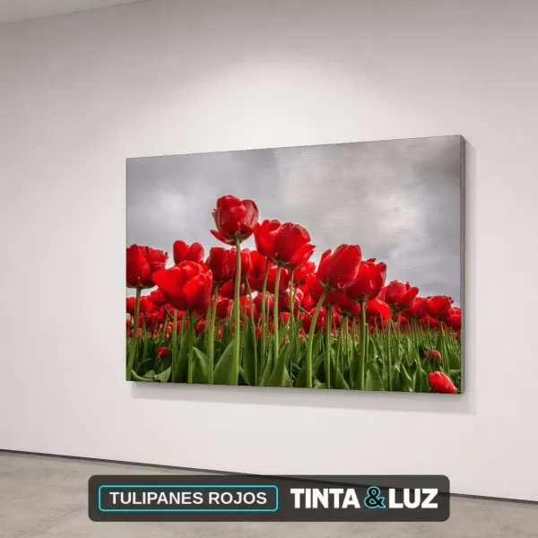 TULIPANES ROJOS