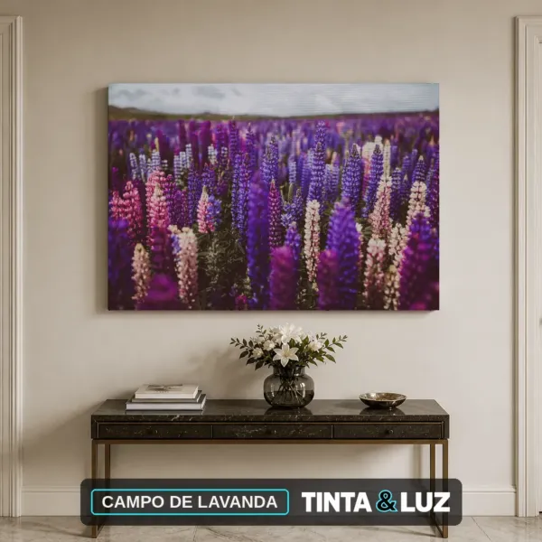 CAMPO DE LAVANDA