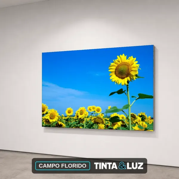 CAMPO FLORIDO