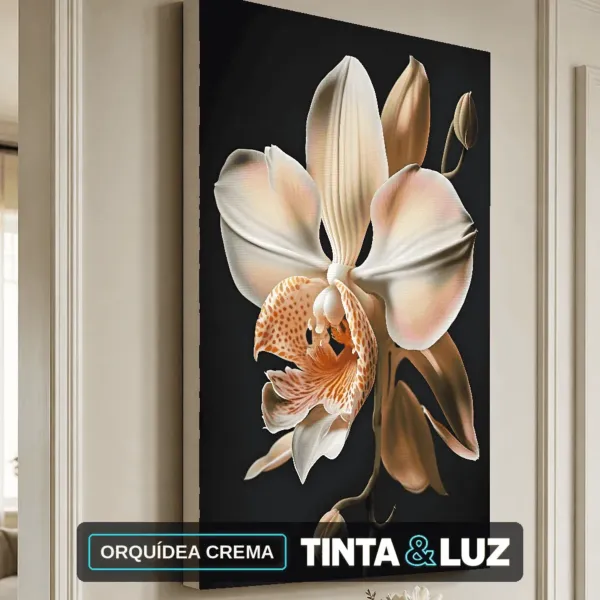 ORQUÍDEA CREMA