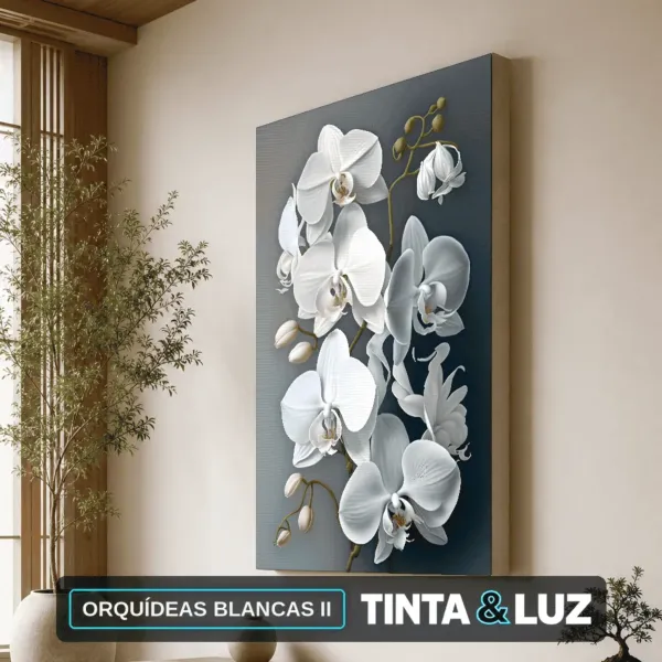 ORQUÍDEAS BLANCAS II