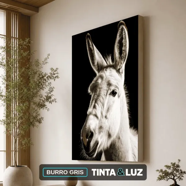 BURRO GRIS