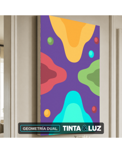 GEOMETRÍA DUAL