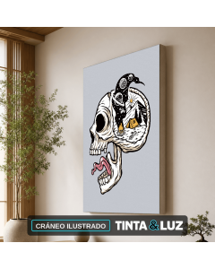 CRÁNEO ILUSTRADO
