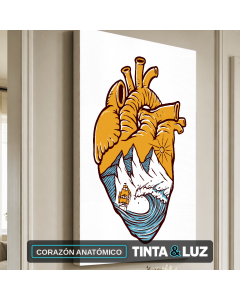 CORAZÓN ANATÓMICO