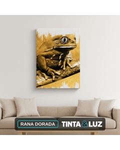 RANA DORADA