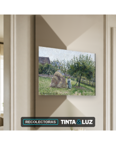 RECOLECTORAS