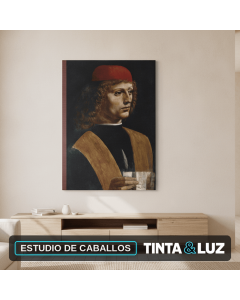 ESTUDIO DE CABALLOS