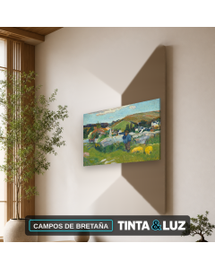CAMPOS DE BRETAÑA