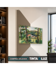 CAMPIÑA SOLEADA