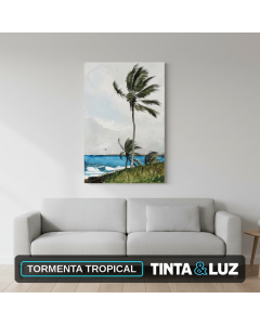 TORMENTA TROPICAL