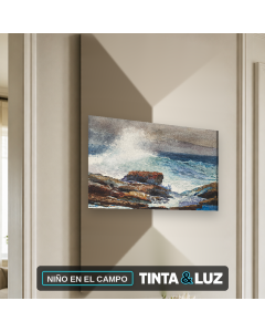 NIÑO EN EL CAMPO