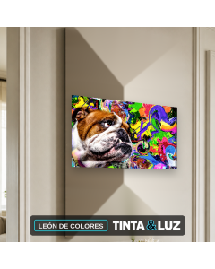 LEÓN DE COLORES