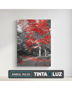 ÁRBOL ROJO