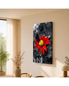 GERBERA ROJA