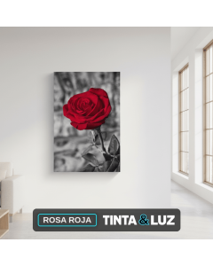 ROSA ROJA