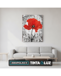AMAPOLAS II