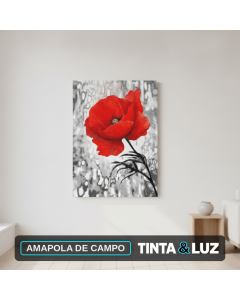 AMAPOLA DE CAMPO