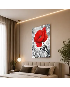 AMAPOLA DE CAMPO