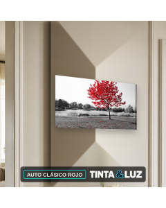 AUTO CLÁSICO ROJO