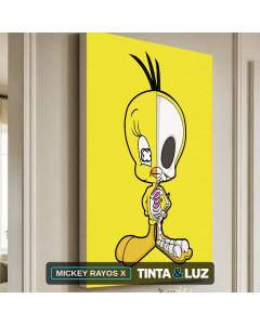 MICKEY RAYOS X