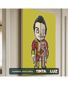 HOMBRE ANATOMÍA