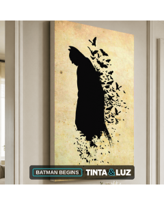 BATMAN BEGINS