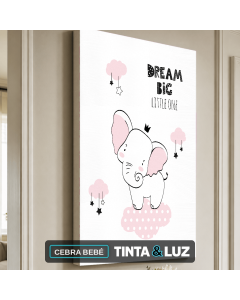 CEBRA BEBÉ