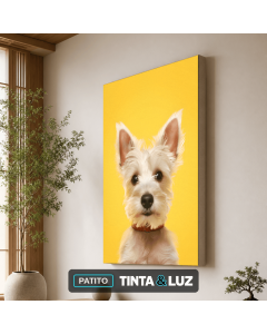 PATITO