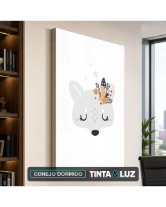 CONEJO DORMIDO