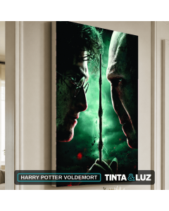HARRY POTTER VOLDEMORT