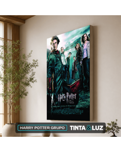 HARRY POTTER GRUPO