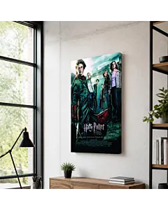 HARRY POTTER GRUPO