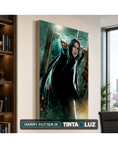 HARRY POTTER IX