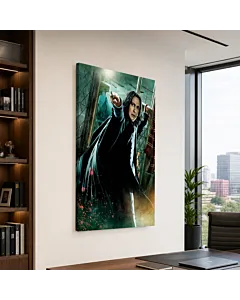 HARRY POTTER IX