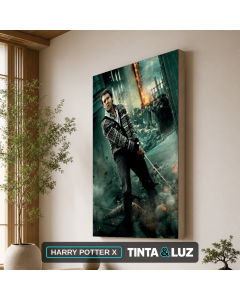 HARRY POTTER X