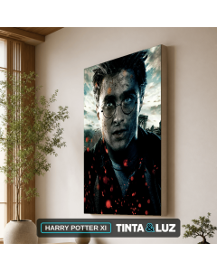 HARRY POTTER XI