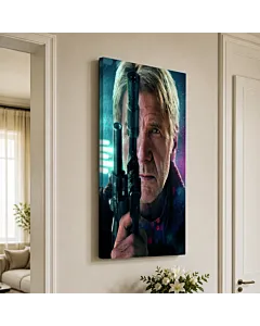 HAN SOLO VIEJO