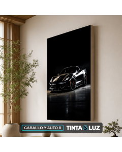 CABALLO Y AUTO II