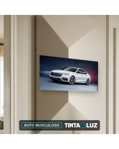 AUTO MUSCULOSO