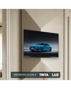 DEPORTIVO PLATA II