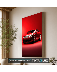 DEPORTIVO ROJO XIV
