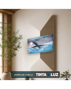 AVIÓN EN VUELO