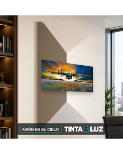 AVIÓN EN EL CIELO