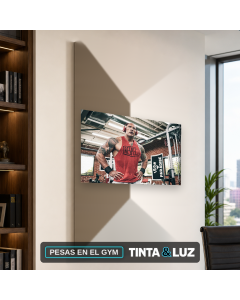 PESAS EN EL GYM