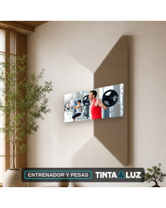 ENTRENADOR Y PESAS
