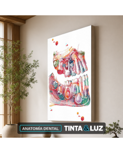 ANATOMÍA DENTAL