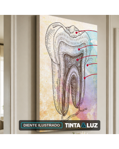 DIENTE ILUSTRADO