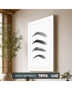 CEJAS DEFINIDAS