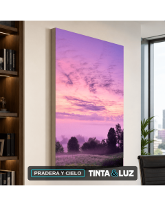 PRADERA Y CIELO